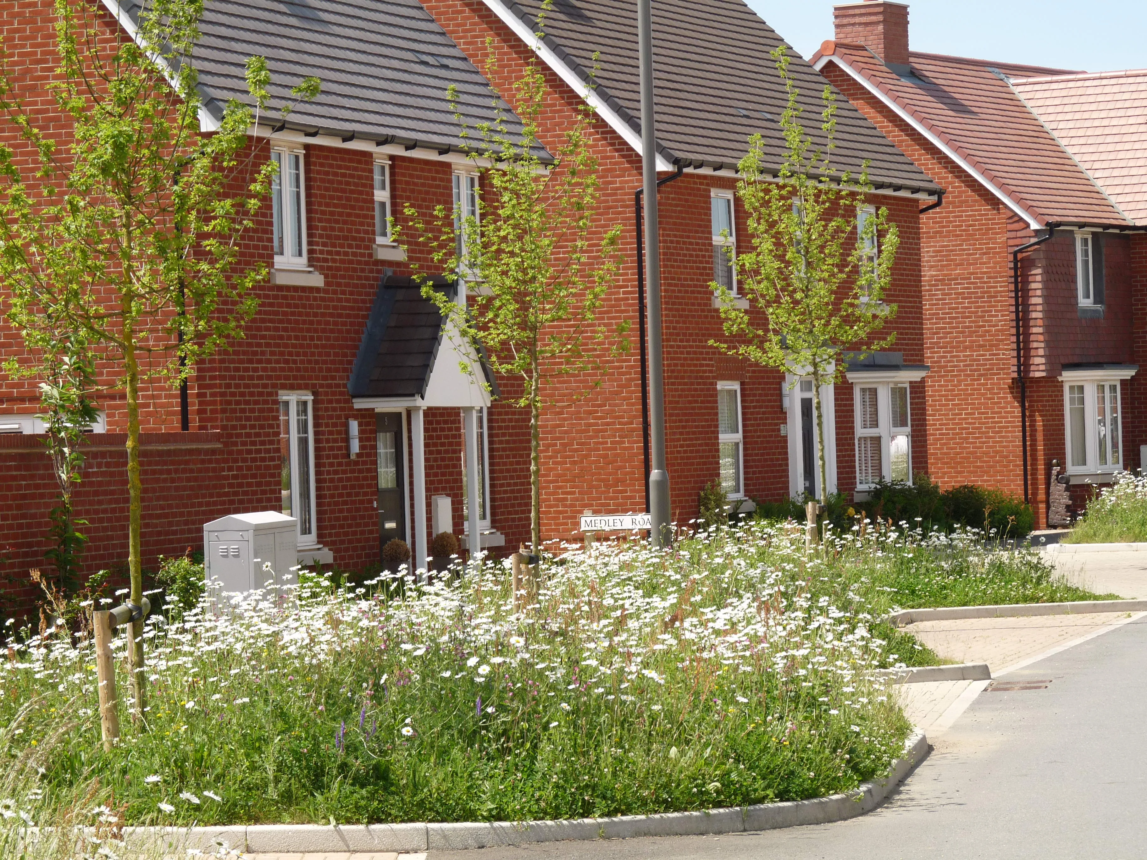 Kingsbrook, Aylesbury. A Barratt Homes housing development with nature incorporated. We see houses with wild flower verges outside. 