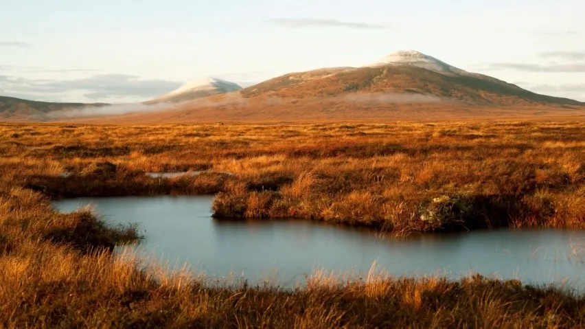 A view of a snow capped Forsinard Flows from a visitors trail. 
