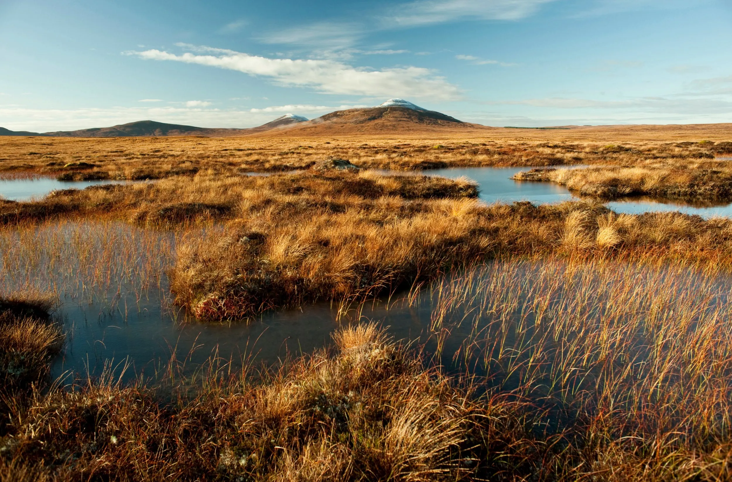 RSPB Forsinard Flows; view from visitor trail, including snow-capped Ben Griam
