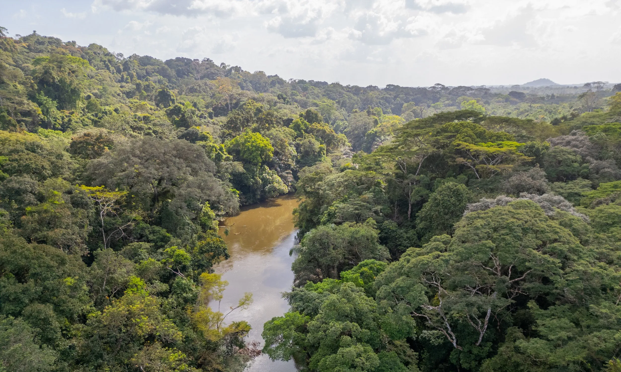 Gola Rainforest, Sierra Leone, West Africa