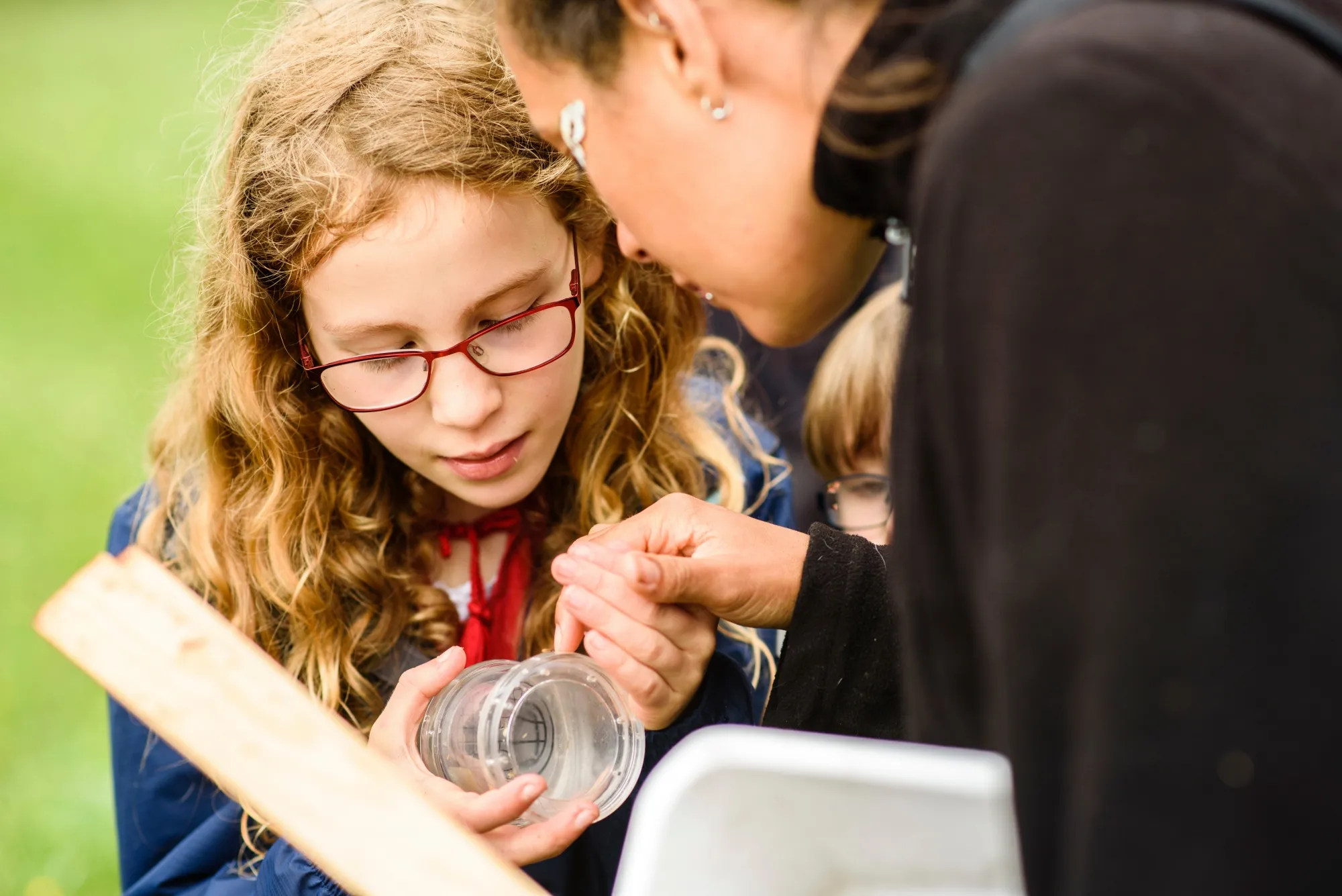 Minibeast hunting at The Festival of Nature, Bath Bioblitz