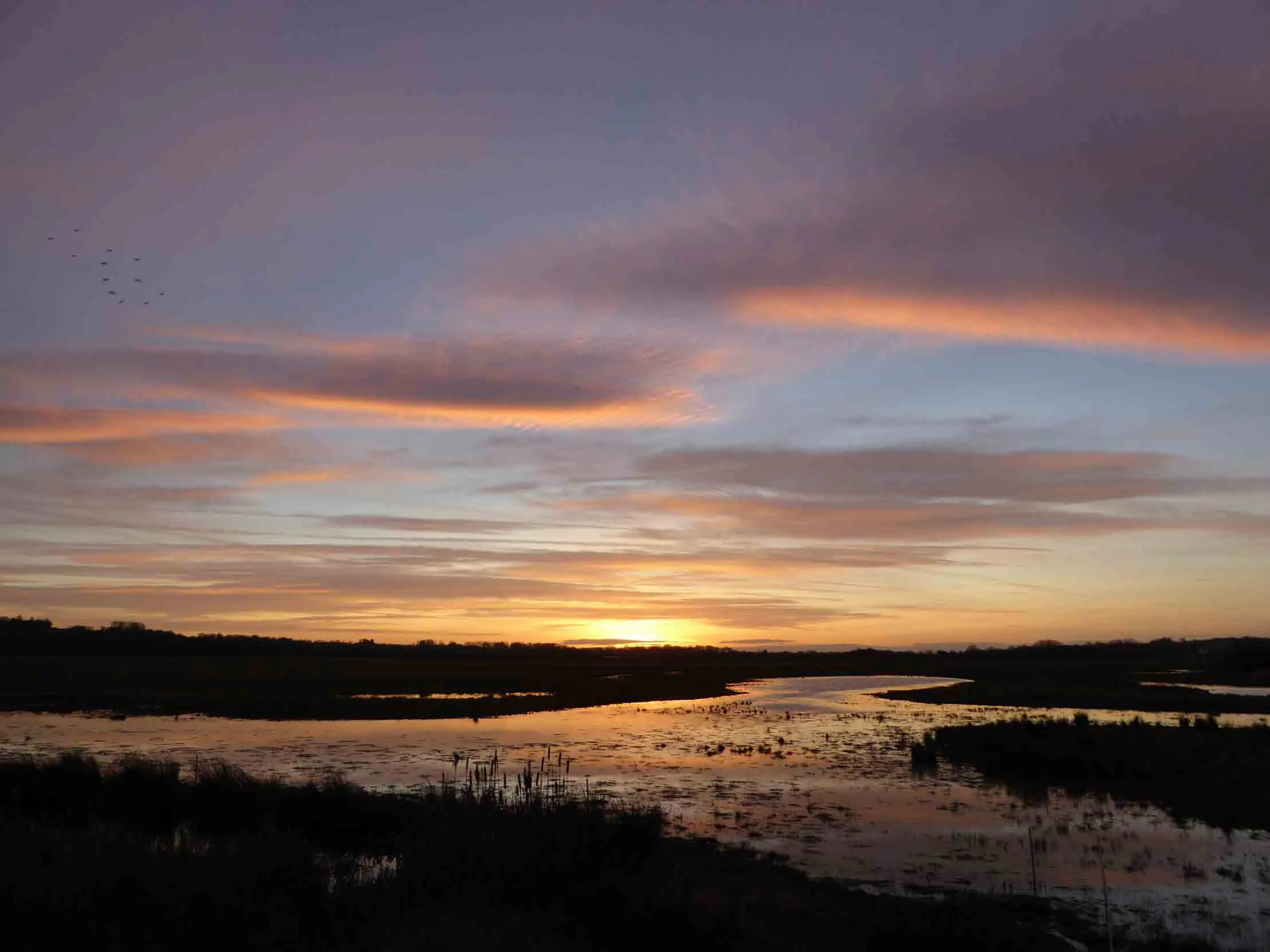 A blue sky with pink and orange tinges as the sun sets over shallow waters and reedbeds.