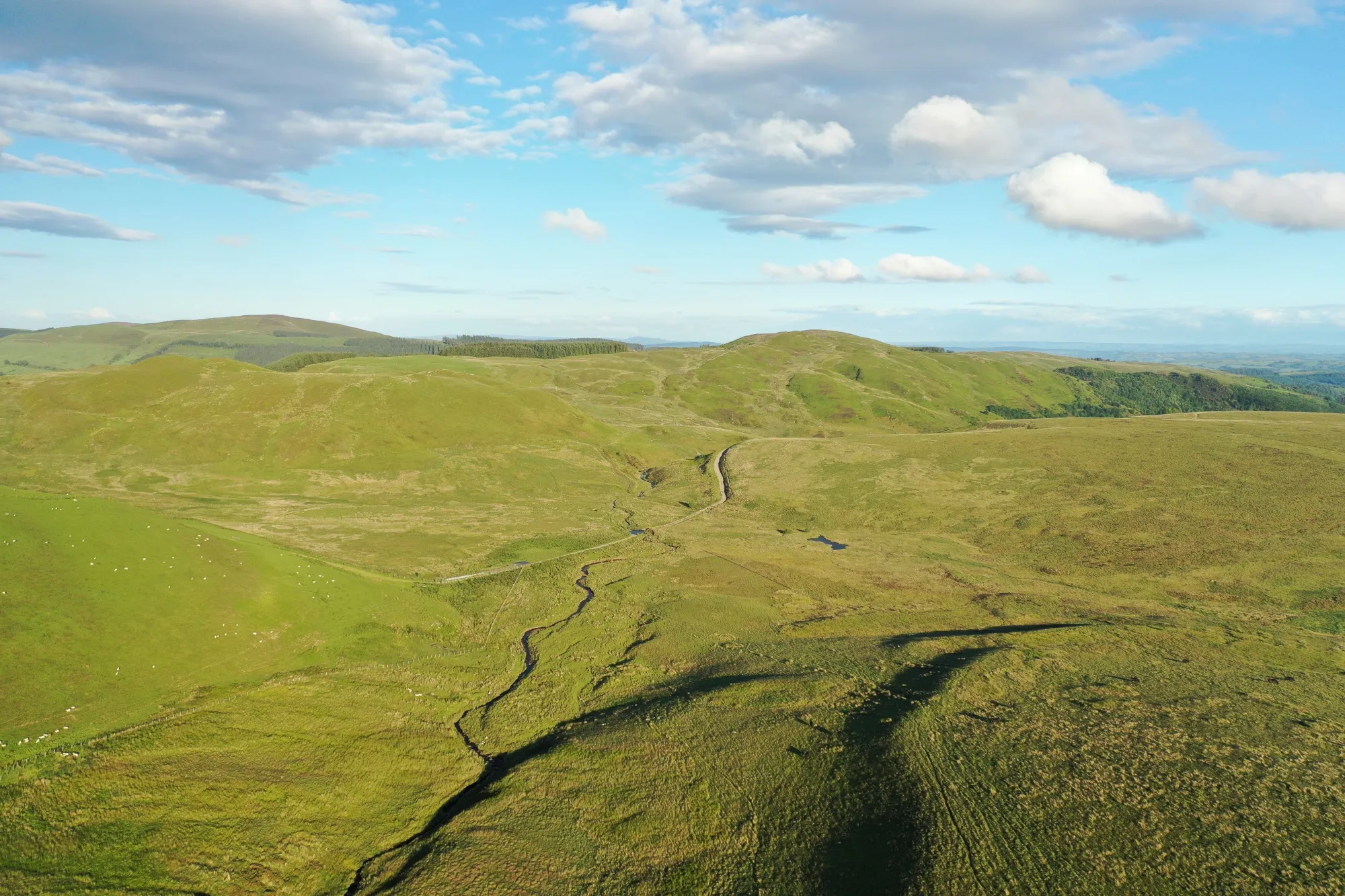 Upland moorland habitat alongside farmed grazing fields, RSPB Lake Vyrnwy Nature Reserve, Powys, Wales