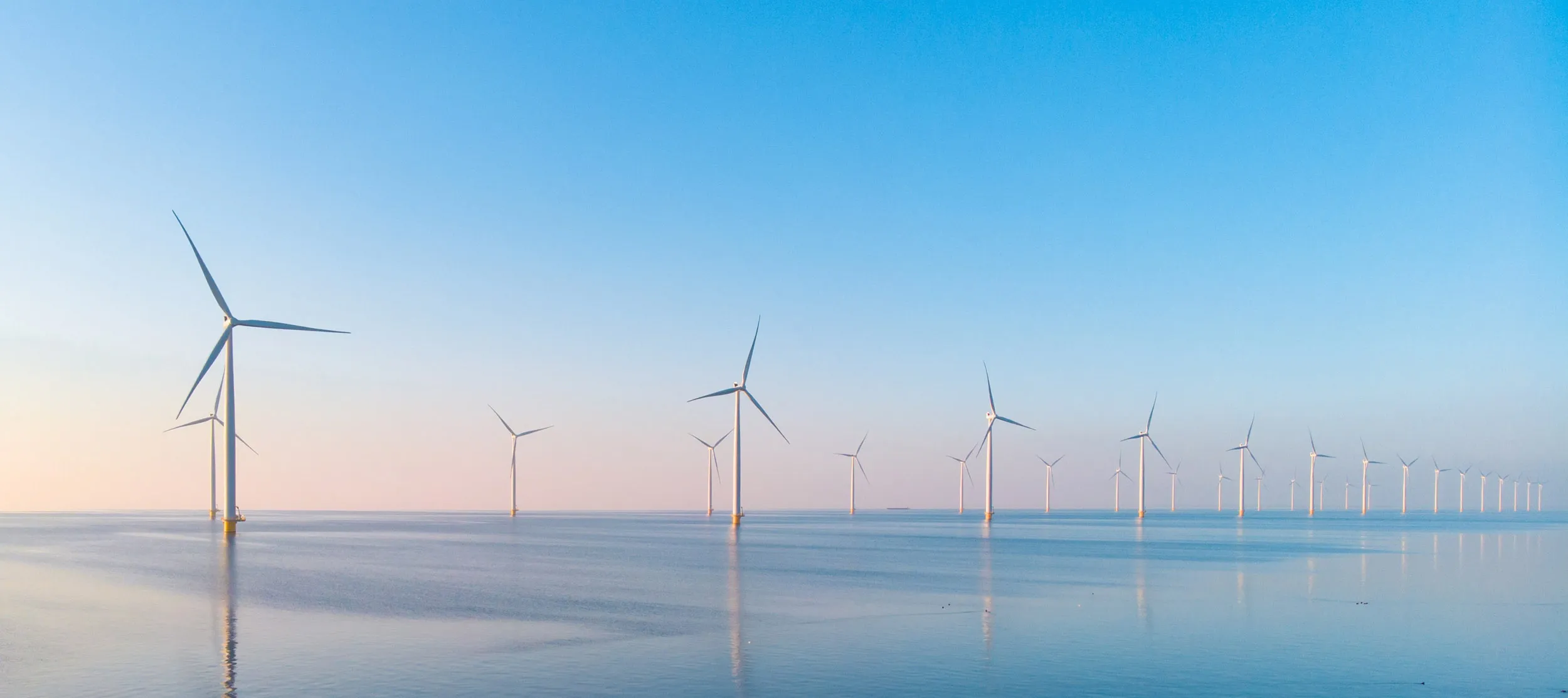 Wide view across an offshore wind farm.