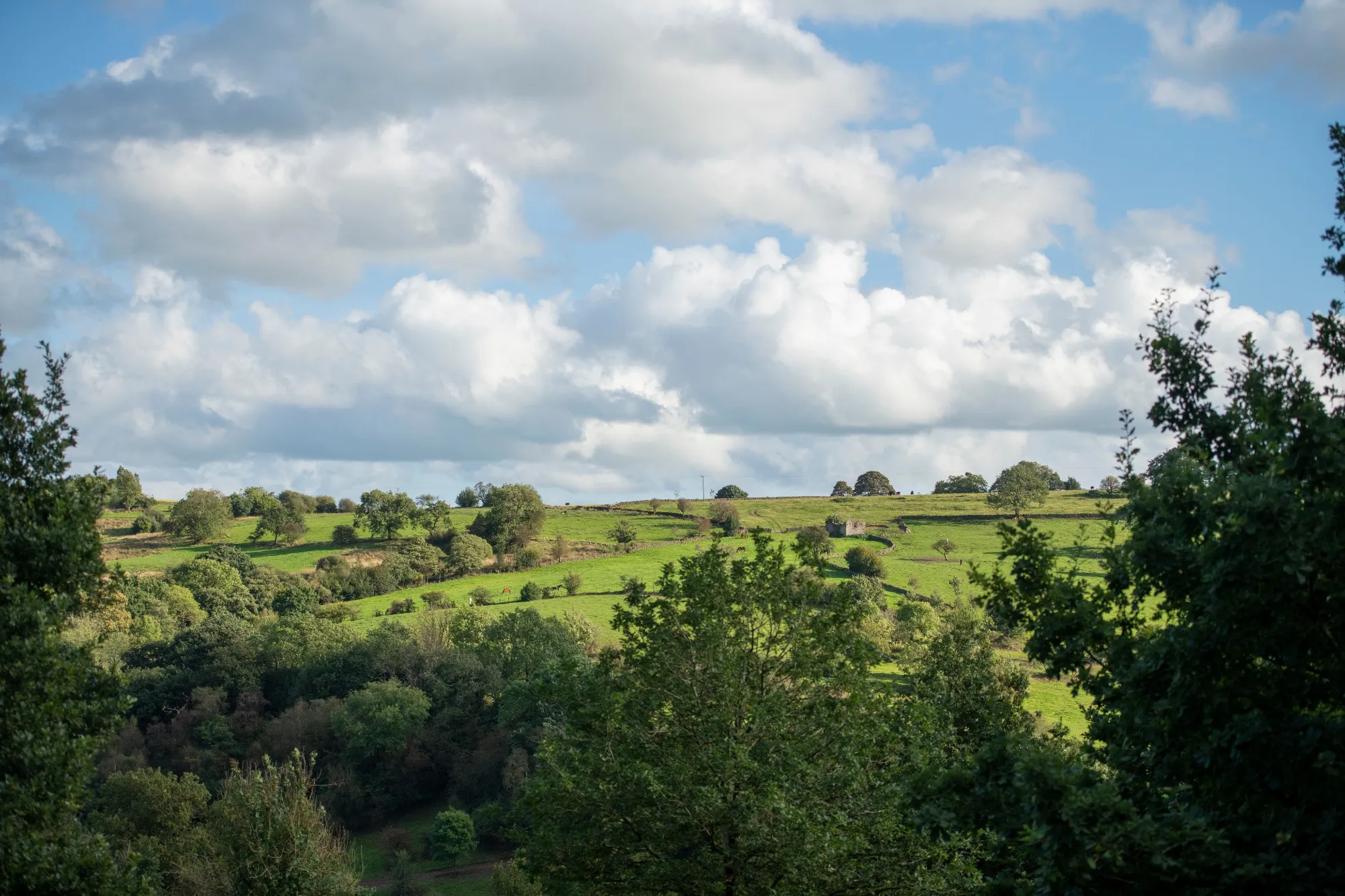Coombs Valley, Staffordshire