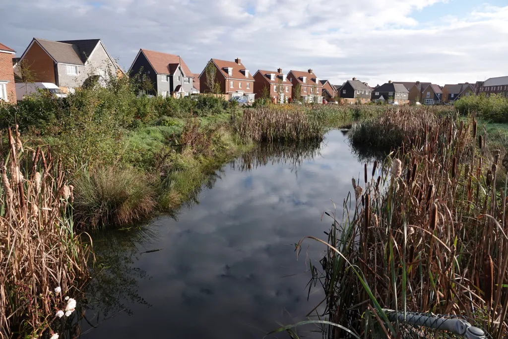 Barratt Developments drainage pool with a row of houses in the background.