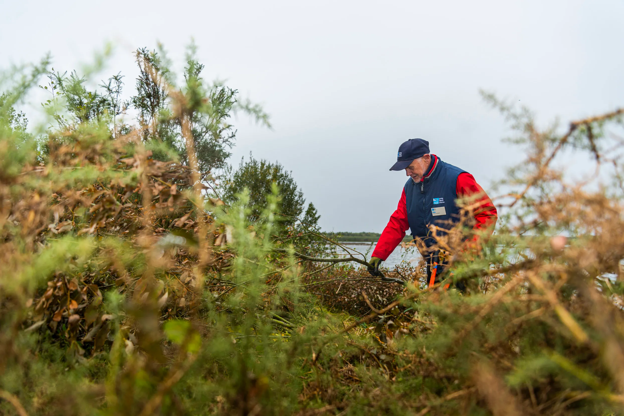 A volunteer stood amongst undergrowth, with a cutting tool in their hand.