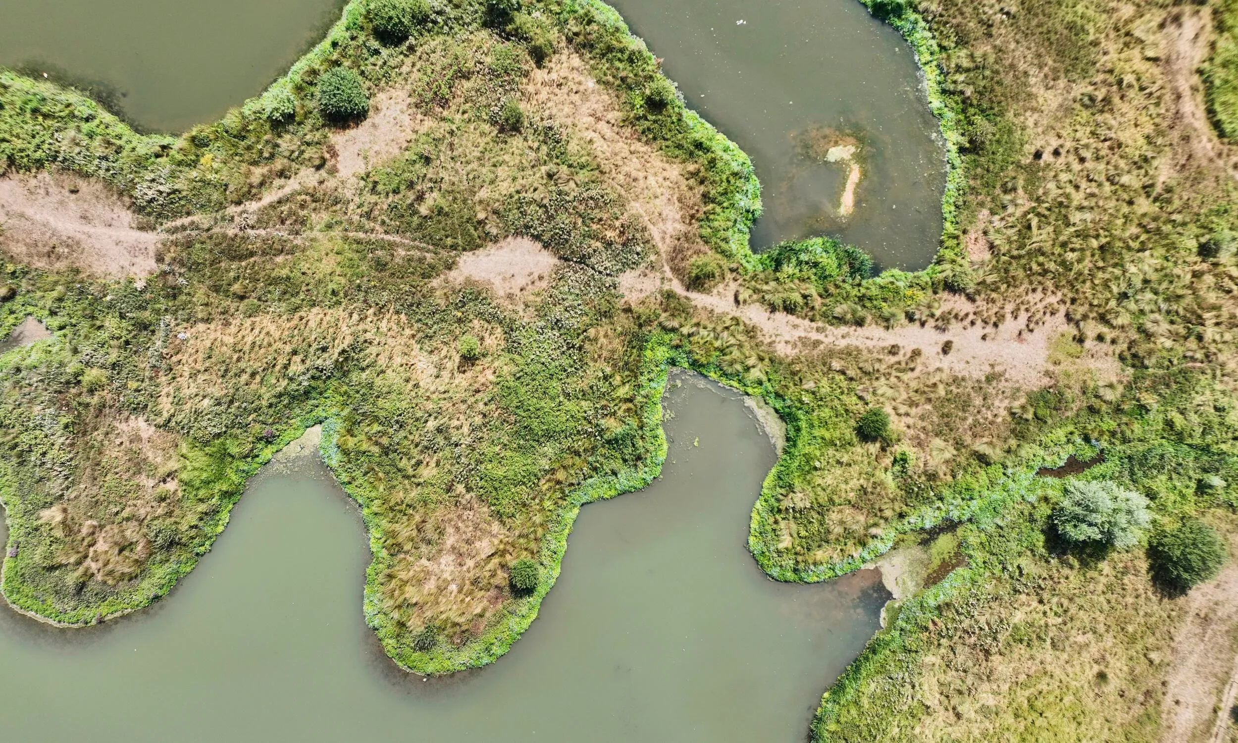 A view of Middleton Lakes taken from above, showing a body of water with a central grassy land area