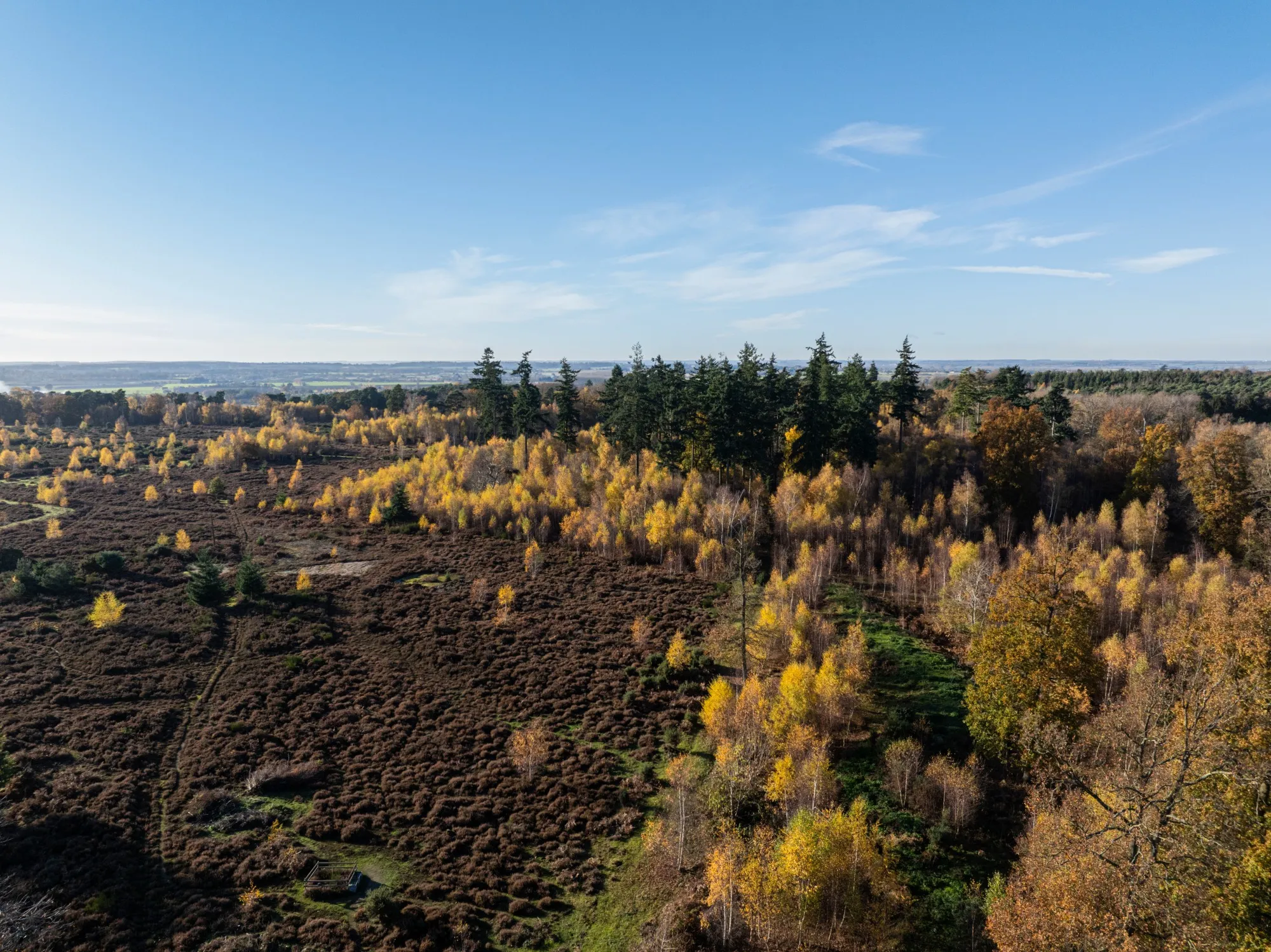 Aerial image of RSPB The Lodge Nature Reserve, Bedfordshire, November 2024