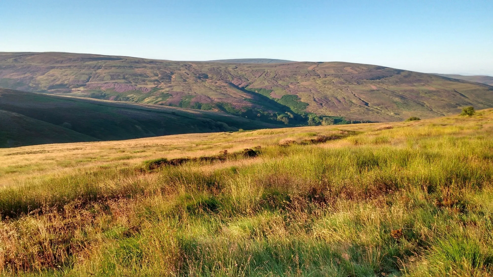 RSPB Geltsdale Nature Reserve, Cumbria, Summer