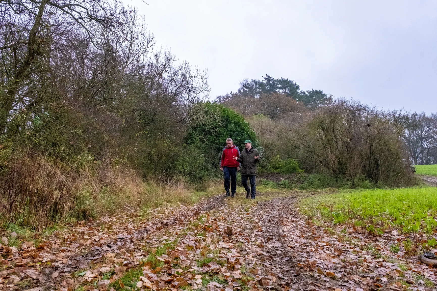 Two people in outdoor clothing chat together while walking along a tyre-trodden path strewn with leaves. Surrounded by trees and grass.