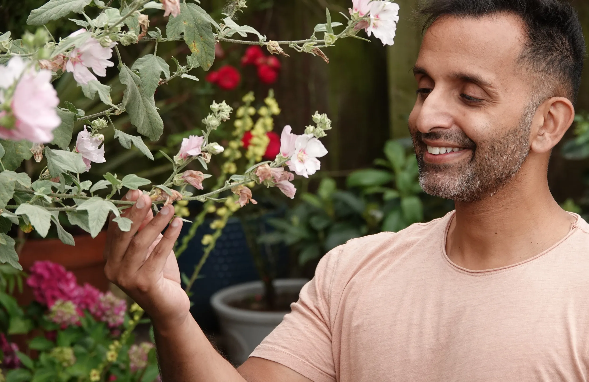 Dr Amir Khan admiring a collection of light pink flowers growing in his garden.