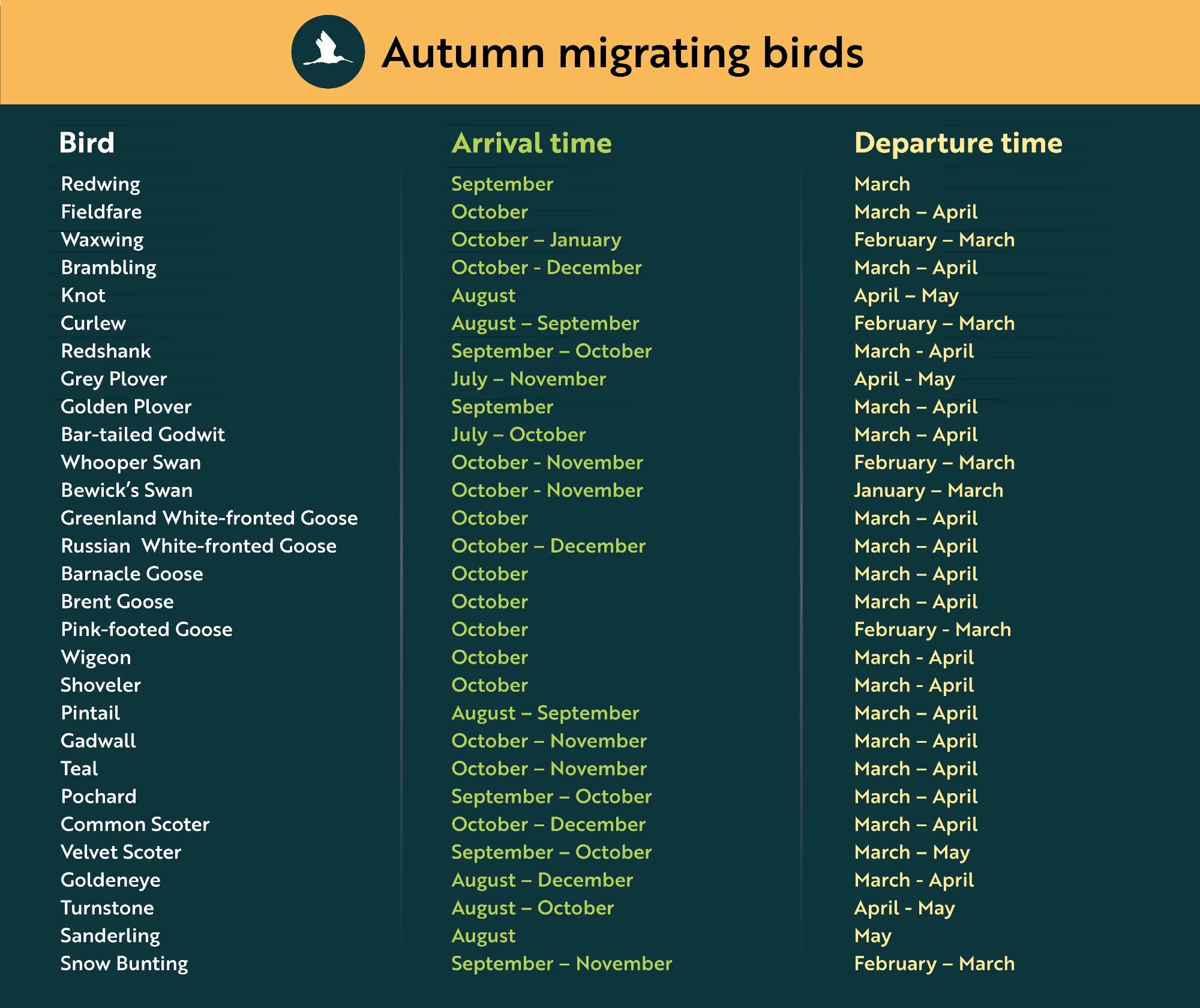 Autumn Arrivals