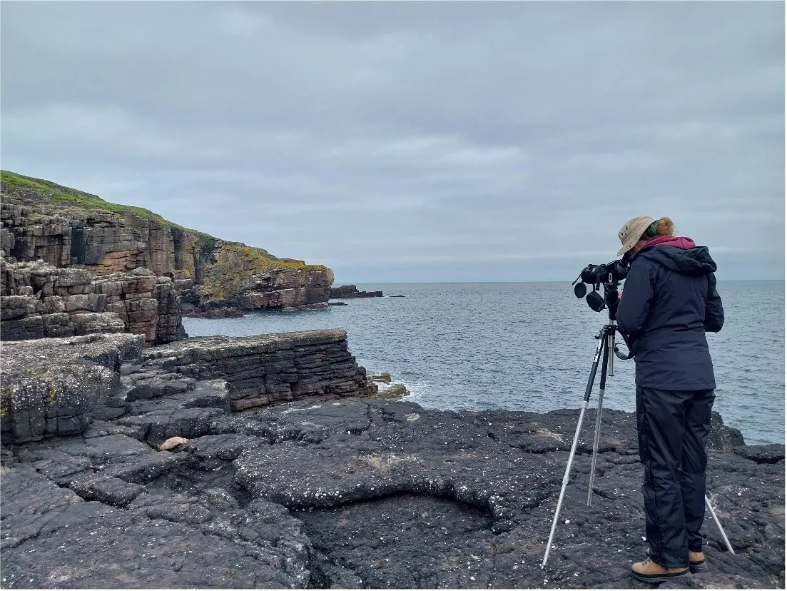 A researcher counting Guillemots along the rocky coastline through mounted binoculars.