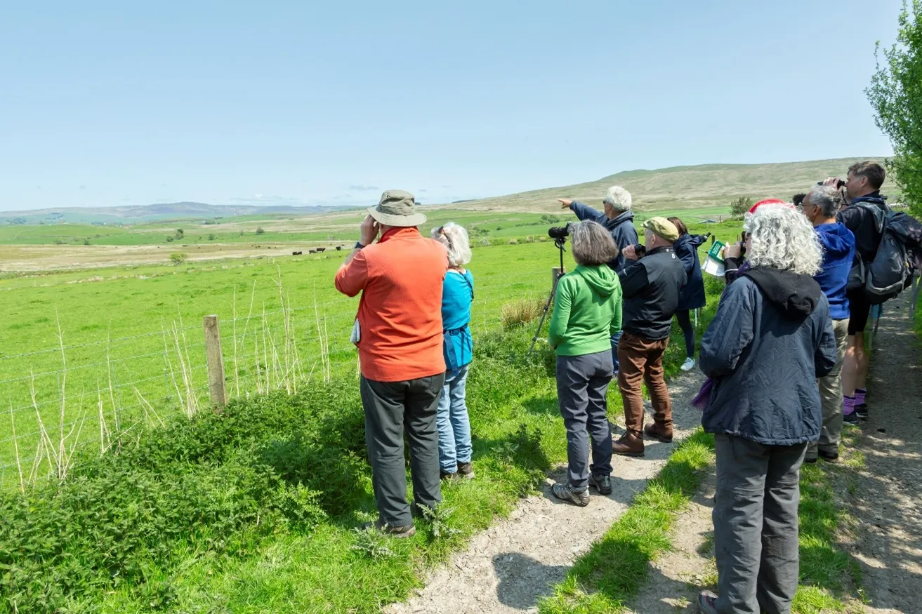 RSPB staff member showing volunteers how to monitor Curlews, North Wales